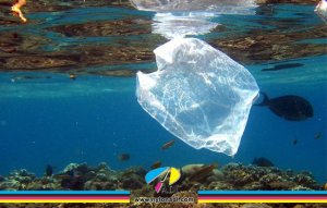 آسیب های پلاستیک به محیط زیست